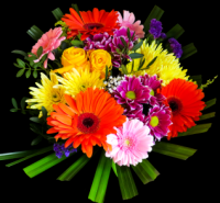 Barvy a naše osobnost